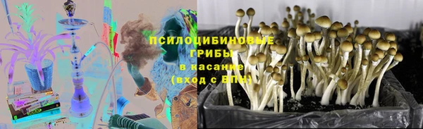 PSILOCYBIN Нязепетровск