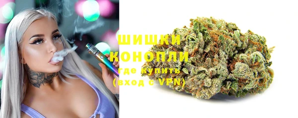 шишки Нягань