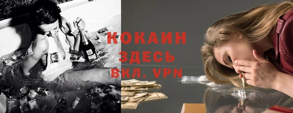 шишки Нягань