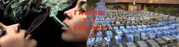 стафф Новозыбков