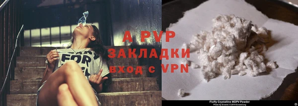 PSILOCYBIN Нязепетровск