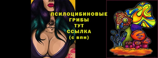 бутират Няндома