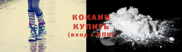 шишки Нягань