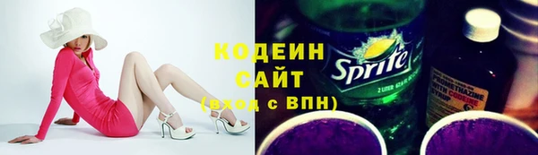 шишки Нягань