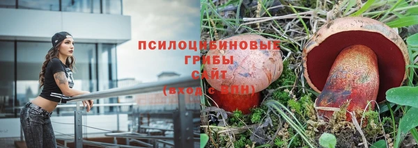 бутират Няндома