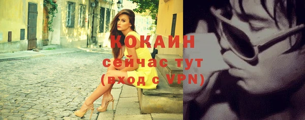 шишки Нягань
