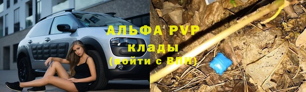 шишки Нягань